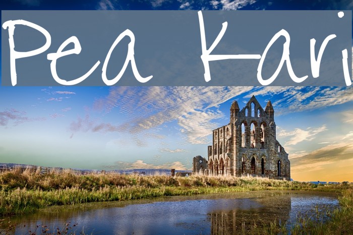 Pea Kari Font examples