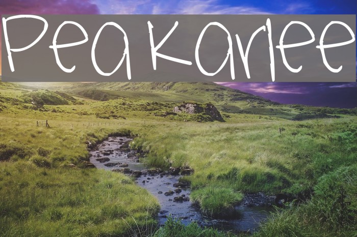 Pea Karlee Font examples