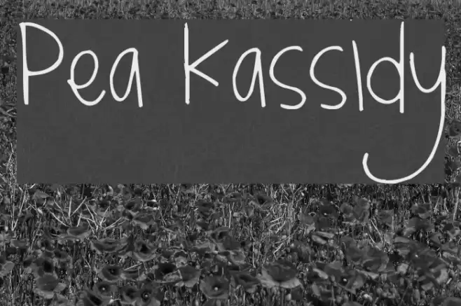 Pea Kassidy Font examples