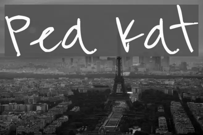 Pea Kat Font examples