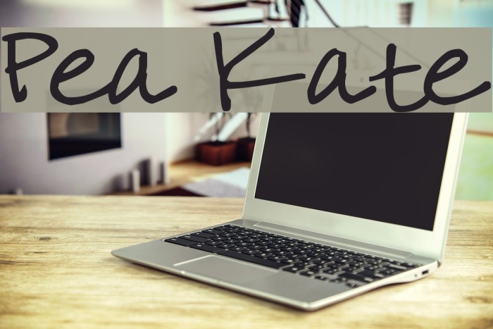 Pea Kate Font examples