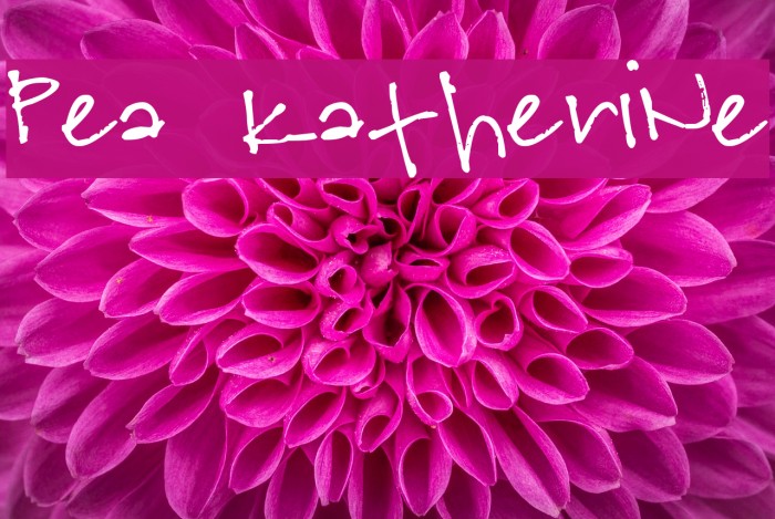Pea Katherine Font examples