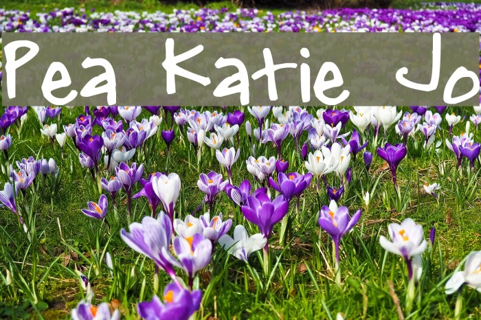 Pea Katie Jo Font examples