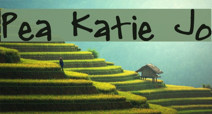 Pea Katie Jo Font examples