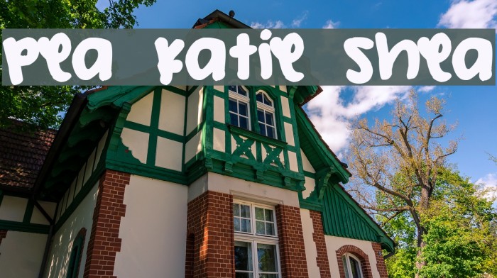 Pea Katie Shea Font examples