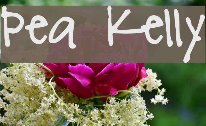 Pea Kelly Font examples