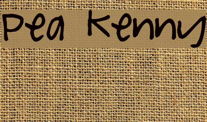 Pea Kenny Font examples
