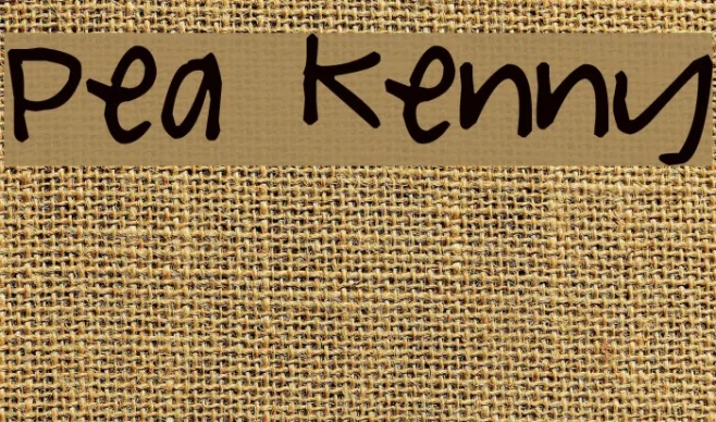 Pea Kenny Example 3