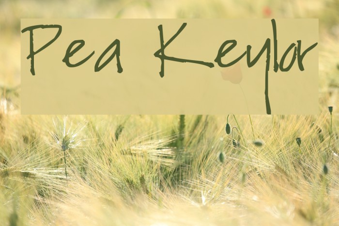 Pea Keylor Font examples