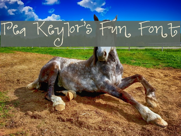 Pea Keylor's Fun Font Font examples