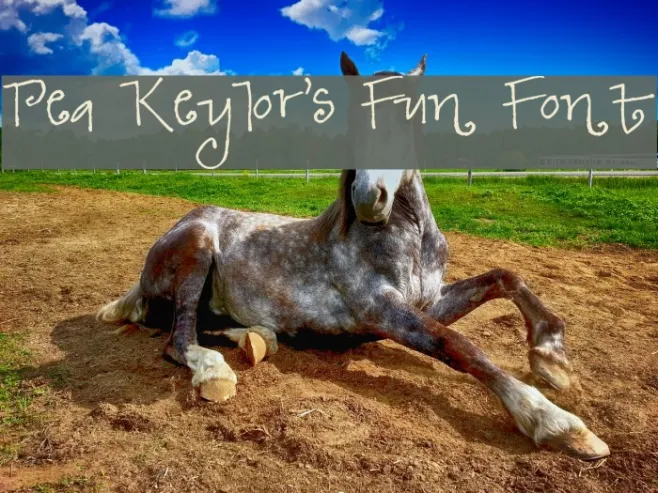 Pea Keylor's Fun Font Example 3