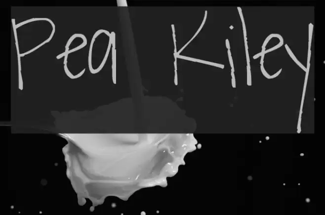 Pea Kiley Font examples