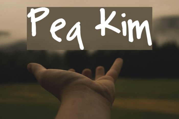 Pea Kim Font examples