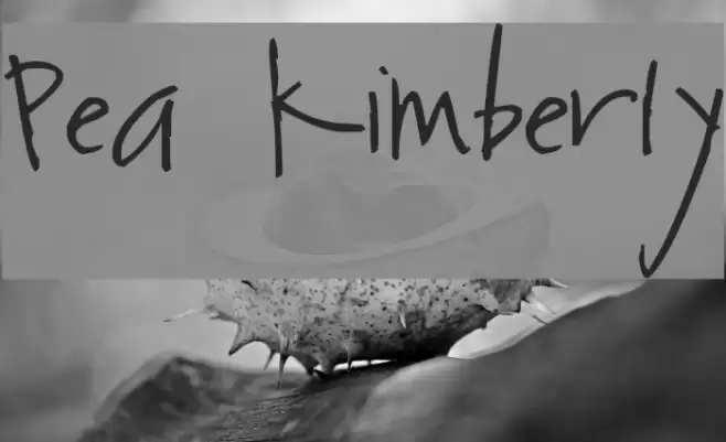 Pea Kimberly Font examples