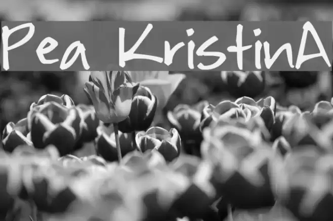 Pea KristinA Font examples