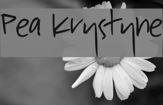 Pea Krystyne Font examples