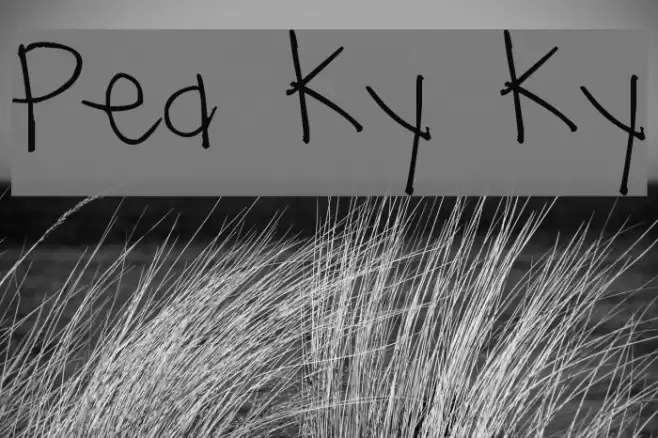 Pea Ky Ky Font examples