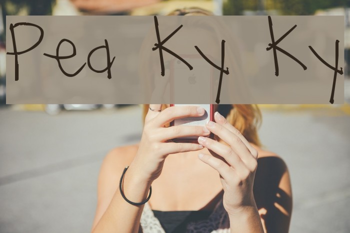 Pea Ky Ky Font examples