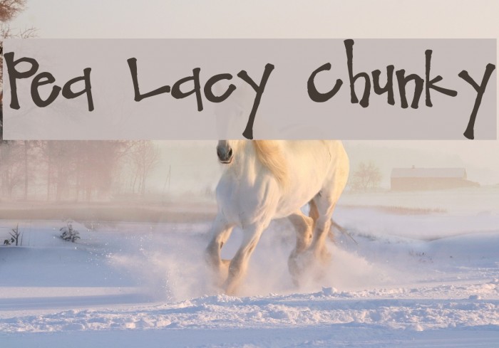 Pea Lacy Chunky Example 1