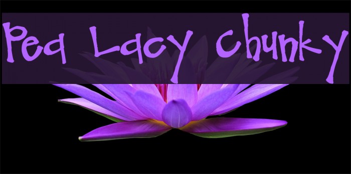 Pea Lacy Chunky Example 3