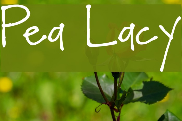 Pea Lacy Font examples