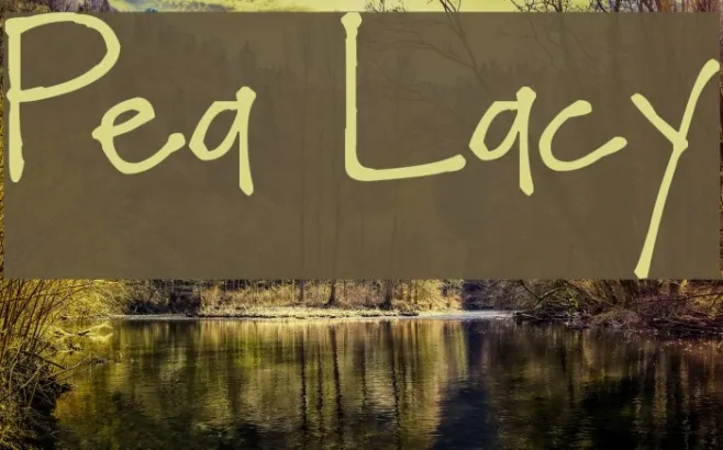 Pea Lacy Example 2