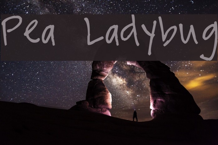 Pea Ladybug Font examples