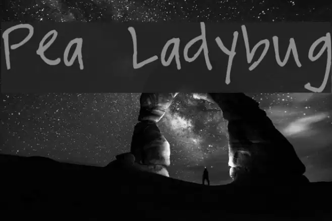 Pea Ladybug Font examples