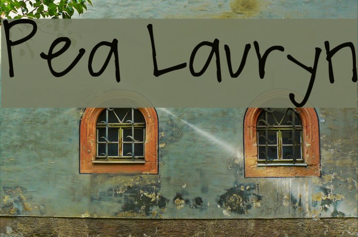 Pea Lauryn Font examples