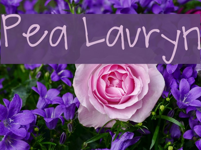 Pea Lauryn Font examples