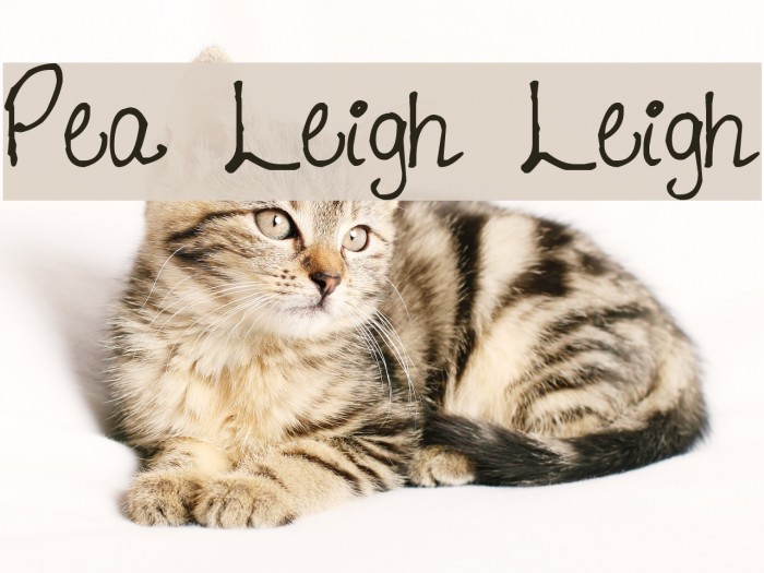 Pea Leigh Leigh Font examples