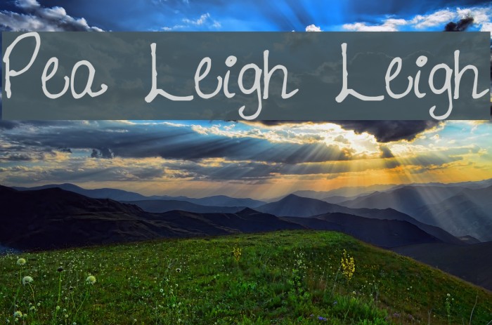 Pea Leigh Leigh Font examples