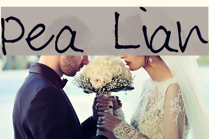Pea Lian Example 1