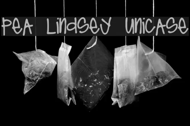 Pea Lindsey Unicase Font examples