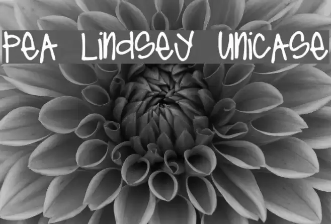 Pea Lindsey Unicase Font examples