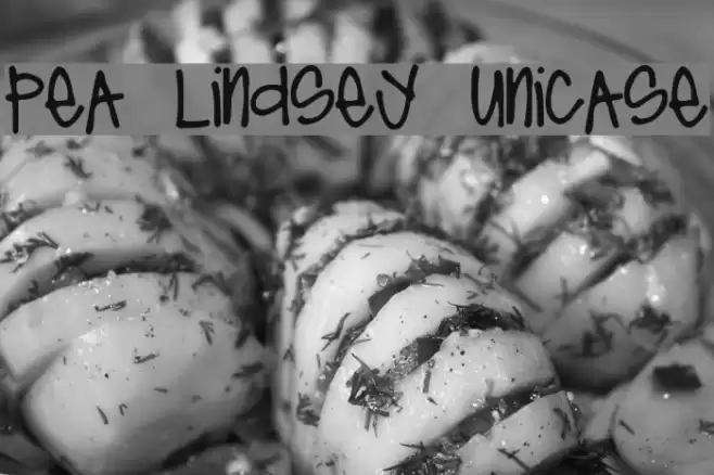 Pea Lindsey Unicase Font examples