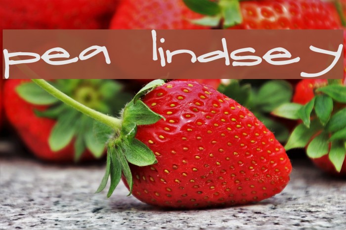 Pea Lindsey Font examples