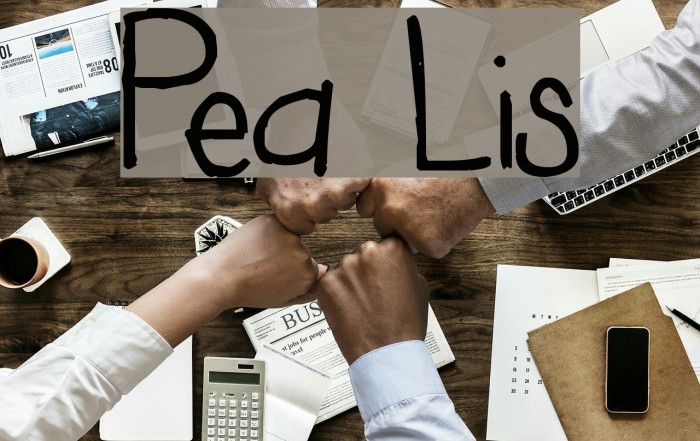 Pea Lis Font examples