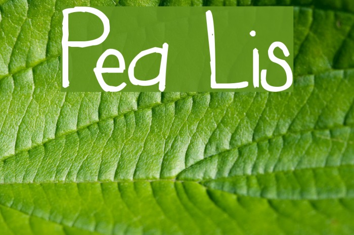 Pea Lis Font examples