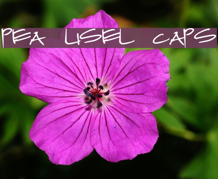 Pea Lisel Caps Example 2