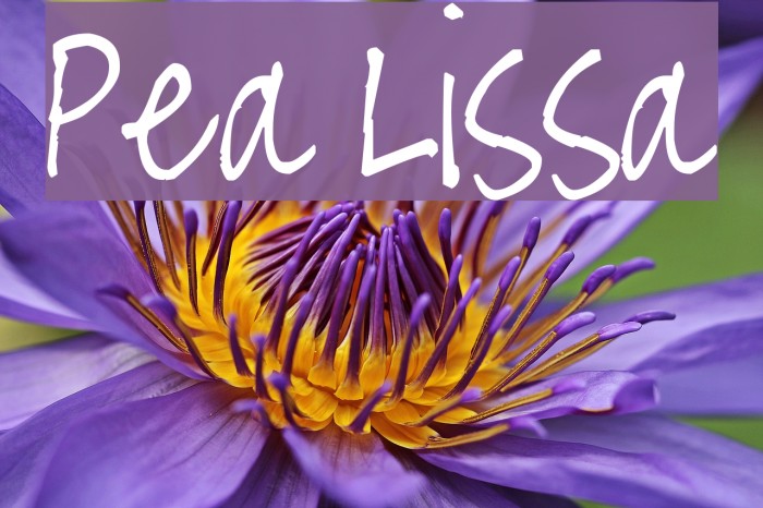 Pea Lissa Font examples