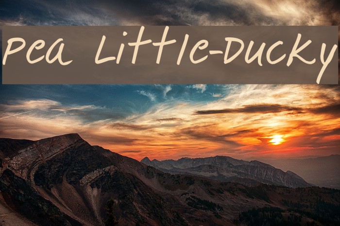 Pea Little-Ducky フォント examples