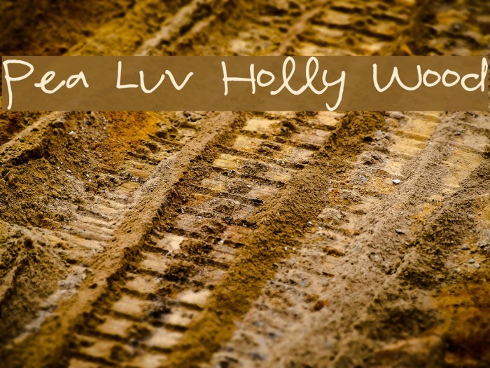Pea Luv Holly Wood Example 2