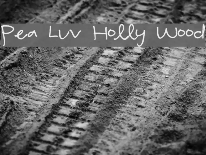 Pea Luv Holly Wood Font examples