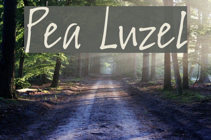 Pea Luzel Font examples