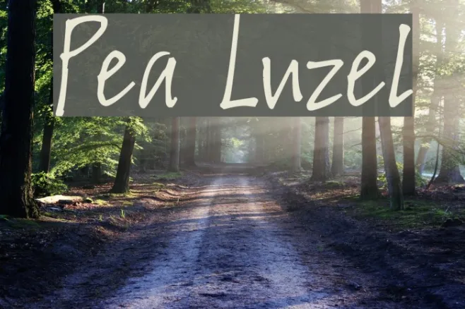 Pea Luzel Example 1