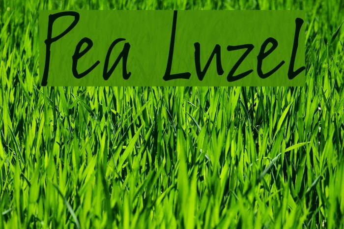 Pea Luzel Font examples