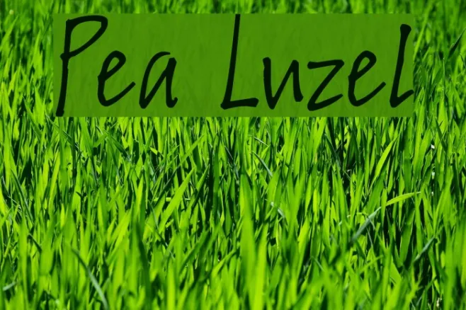 Pea Luzel Example 3