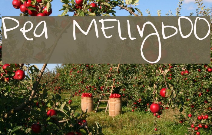 Pea MEllybO0 Font examples