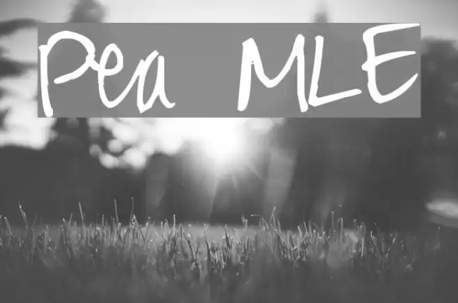 Pea MLE Font examples